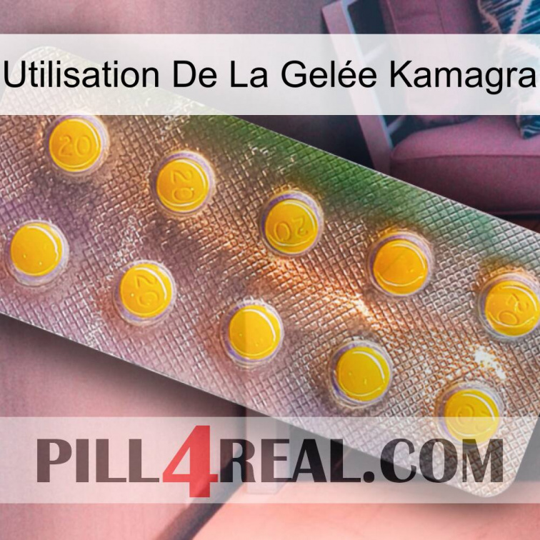 Utilisation De La Gelée Kamagra new11